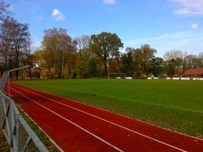 Stadion Olzy Godów